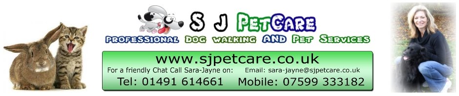 Professional Dog Walking and Pet Care